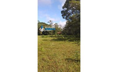 Vendo hermosa finca en Dolega, especial para ganadería o residencial!