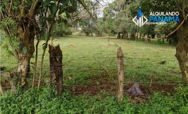 Vendo hermosa finca en Dolega, especial para ganadería o residencial!