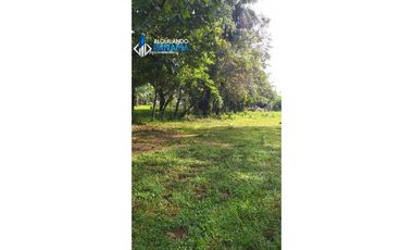 Vendo hermosa finca en Dolega, especial para ganadería o residencial!