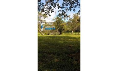 Vendo hermosa finca en Dolega, especial para ganadería o residencial!