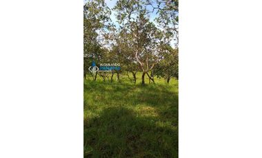 Vendo hermosa finca en Dolega, especial para ganadería o residencial!