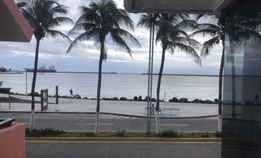 Oficina en Renta en Fracc. Ricardo Flores Magón, Veracruz. GRO-0045