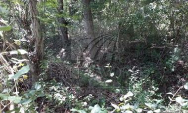 Quintas Venta Allende Zona Carr. Nacional 27-QV-2377