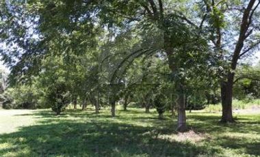 Quintas Venta Allende Zona Carr. Nacional 27-QV-2377