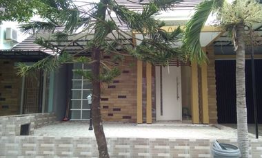 Rumah disewakan Taman Puspa Raya Citraland