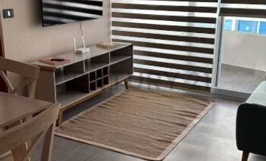 ARRIENDO DEPTO NUEVO AMOBLADO, 1D-1B-ESTACIONAMIENTO Y BODEGA - GGCCC INCLUIDOS