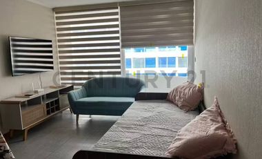 ARRIENDO DEPTO NUEVO AMOBLADO, 1D-1B-ESTACIONAMIENTO Y BODEGA - GGCCC INCLUIDOS