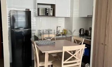 ARRIENDO DEPTO NUEVO AMOBLADO, 1D-1B-ESTACIONAMIENTO Y BODEGA - GGCCC INCLUIDOS