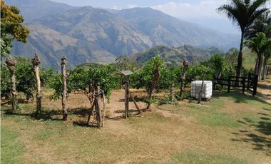 VENTA DE FINCA DAMASCO,  SUROESTE ANTIOQUEÑO ANT