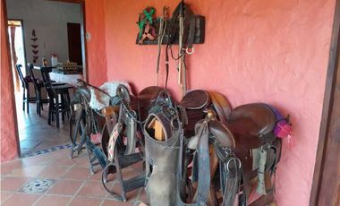 VENTA DE FINCA DAMASCO,  SUROESTE ANTIOQUEÑO ANT