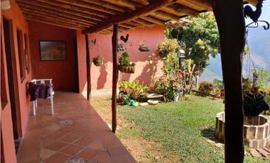 VENTA DE FINCA DAMASCO,  SUROESTE ANTIOQUEÑO ANT