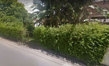 Tanah Istimewa Pinggir Jalan Tirtodipuran, Lingkungan Pariwi