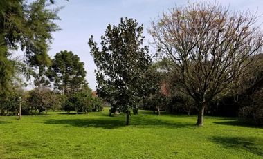 Casa Quinta 5500 m2 Tierras de Morenito