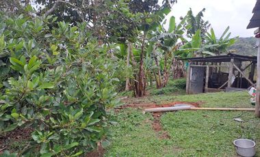 casalote en venta en bitaco. Cod V2972