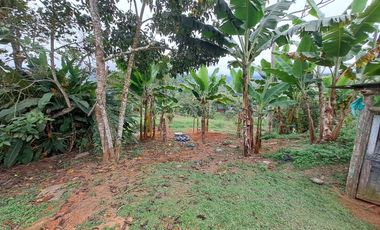 casalote en venta en bitaco. Cod V2972