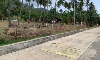 BCL 002 | 2 Has Commercial Land in Santa Cruz, Davao Del Sur