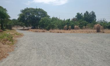 FOR SALE! 9,619 SQM Commercial Lot in Putatan, Muntinlupa