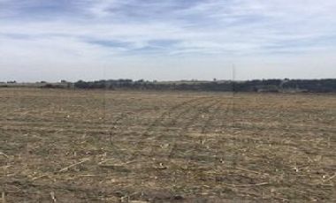 Terrenos Venta Almoloya de Juárez Zona Almaloya de Júarez 15-TV-5926