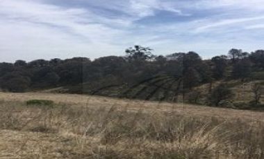 Terrenos Venta Almoloya de Juárez Zona Almaloya de Júarez 15-TV-5926