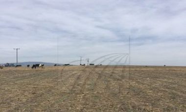 Terrenos Venta Almoloya de Juárez Zona Almaloya de Júarez 15-TV-5926