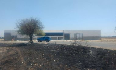 Bodega en RENTA en Pedregal de San Juan