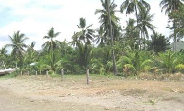 For Sale House & Lot in Mazari Cove (Beachfront Subdivision) Naga Cebu