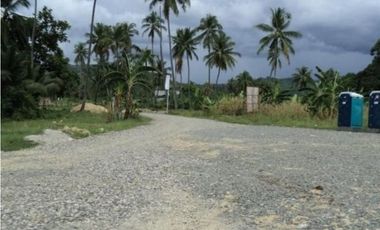 For Sale House & Lot in Mazari Cove (Beachfront Subdivision) Naga Cebu