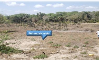 1 hectárea con frente de playa en  Chacahua, Pto. Esc. 0ax.