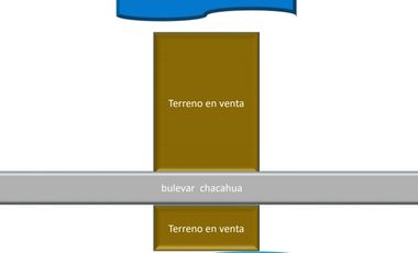 1 hectárea con frente de playa en  Chacahua, Pto. Esc. 0ax.
