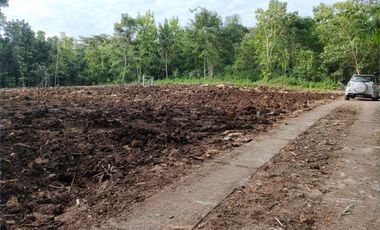 Tanah Murah Sentolo: Harga 1 Jt-an/m Profit 30%