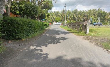 Tanah Murah Sentolo: Harga 1 Jt-an/m Profit 30%