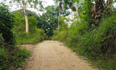 AGRI-COMMERCIAL/RESIDENTIAL LOT FOR SALE IN ALOGUINSAN CEBU