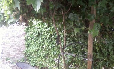 CASA CON LOCAL COMERCIAL IDEAL PARA 2 FAMILIAS en Glew Este