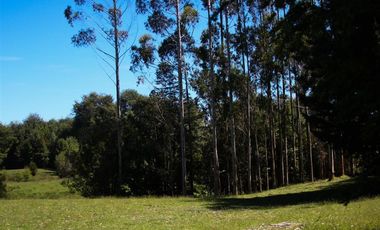 Parcela en Venta en W-851