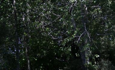 Parcela en Venta en W-851