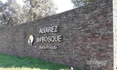 Lote Alvarez Del Bosque