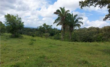 Sea Confiable Vende Finca en Cerro Cama.