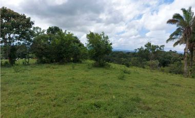 Sea Confiable Vende Finca en Cerro Cama.