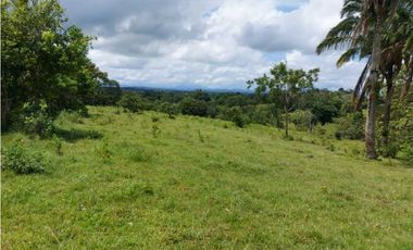 Sea Confiable Vende Finca en Cerro Cama.