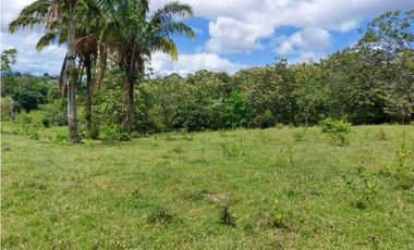 Sea Confiable Vende Finca en Cerro Cama.