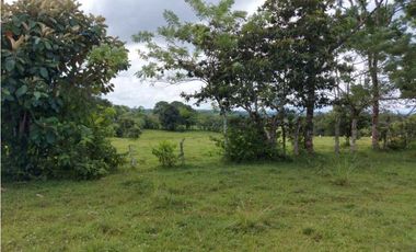 Sea Confiable Vende Finca en Cerro Cama.
