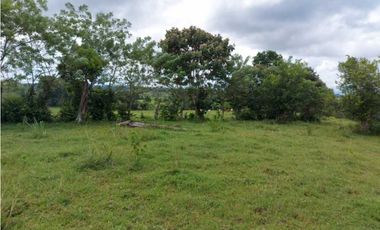 Sea Confiable Vende Finca en Cerro Cama.