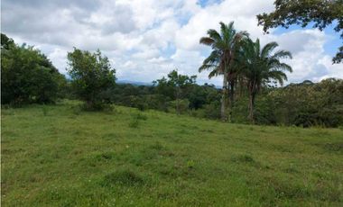 Sea Confiable Vende Finca en Cerro Cama.