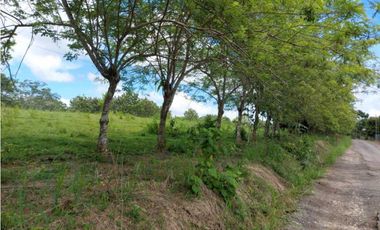 Sea Confiable Vende Finca en Cerro Cama.