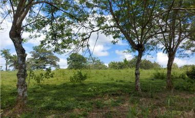 Sea Confiable Vende Finca en Cerro Cama.