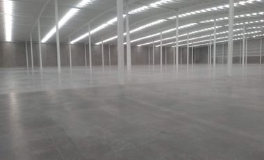 SE RENTA  NAVE INDUSTRIAL BTS EN NEXTLALPAN