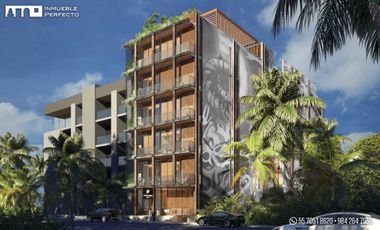 Estudios en Playa del Carmen Centro, Solidaridad, Quintana Roo