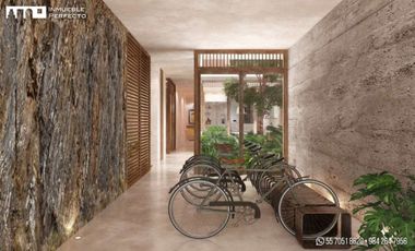 Estudios en Playa del Carmen Centro, Solidaridad, Quintana Roo