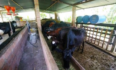 Venta de Finca en Piedecuesta - Vía La Mesa de Los Santos. Cod V6027