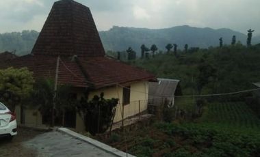 Dijual Villa Dan Kebun Apel Didaerah Bumiaji Selecta Batu